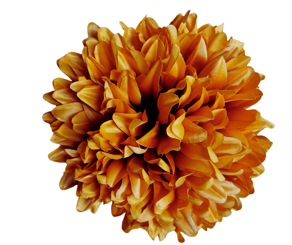 Kwiat Wyrobowy Chryzantema KX005 Coffee