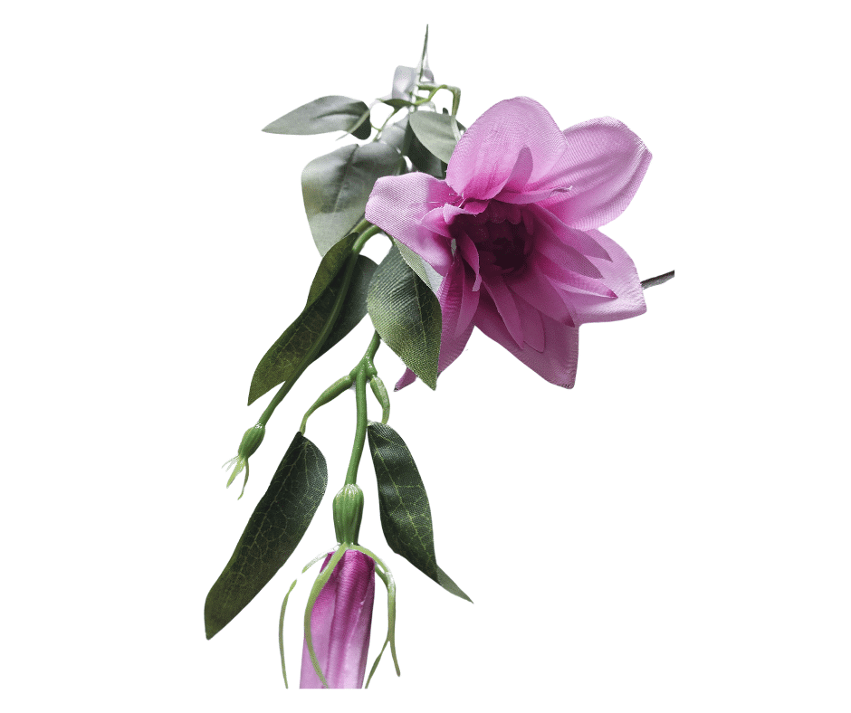 KS91 Gałązka Clematis Fuksja