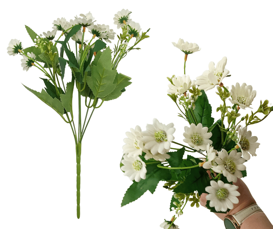 CV10645 Bukiet Margerytka Biała