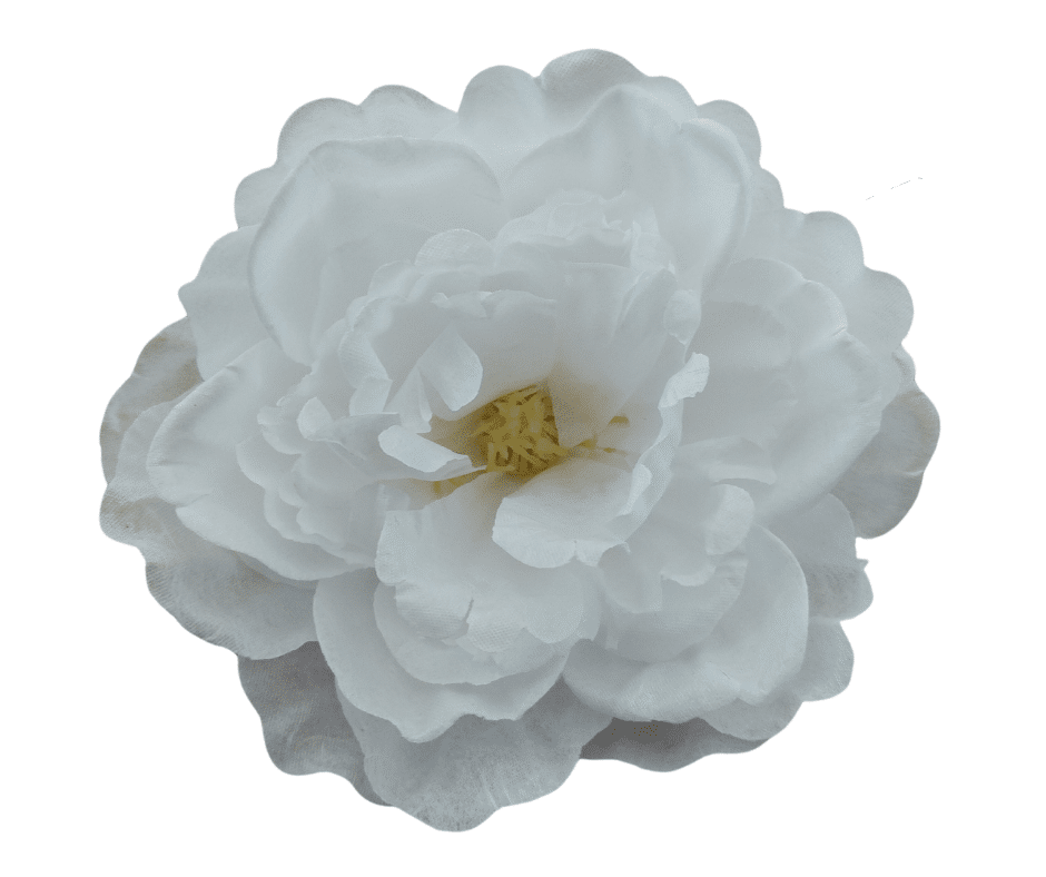 Peonia Wyrobowa K089A Pure White Paczka