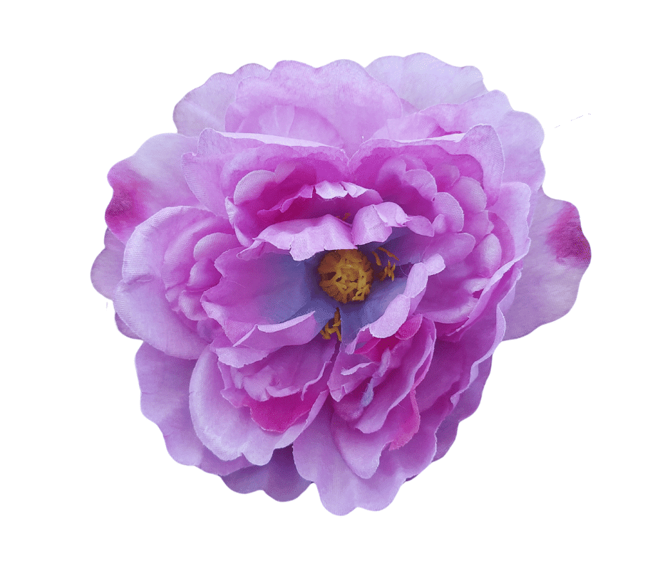 Peonia Wyrobowa K089A Lavender Paczka