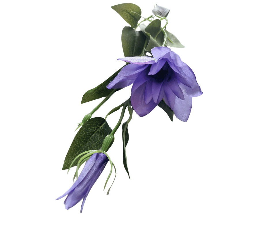 KS91 Gałązka Clematis Fiolet