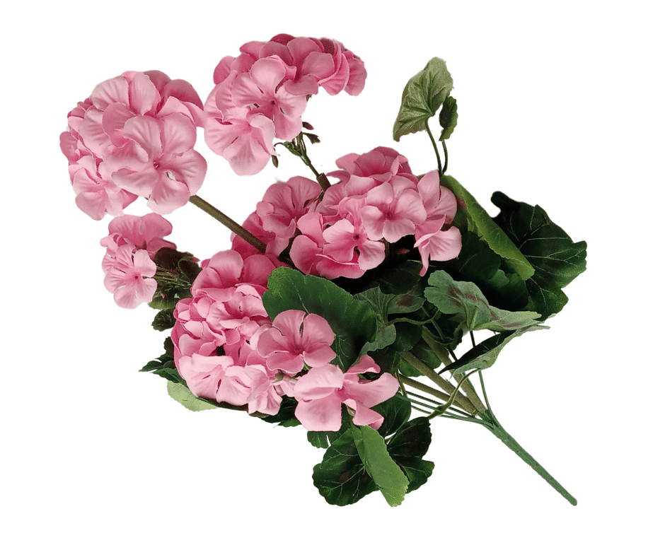 Bukiet Pelargonia 48cm Jasny Róż