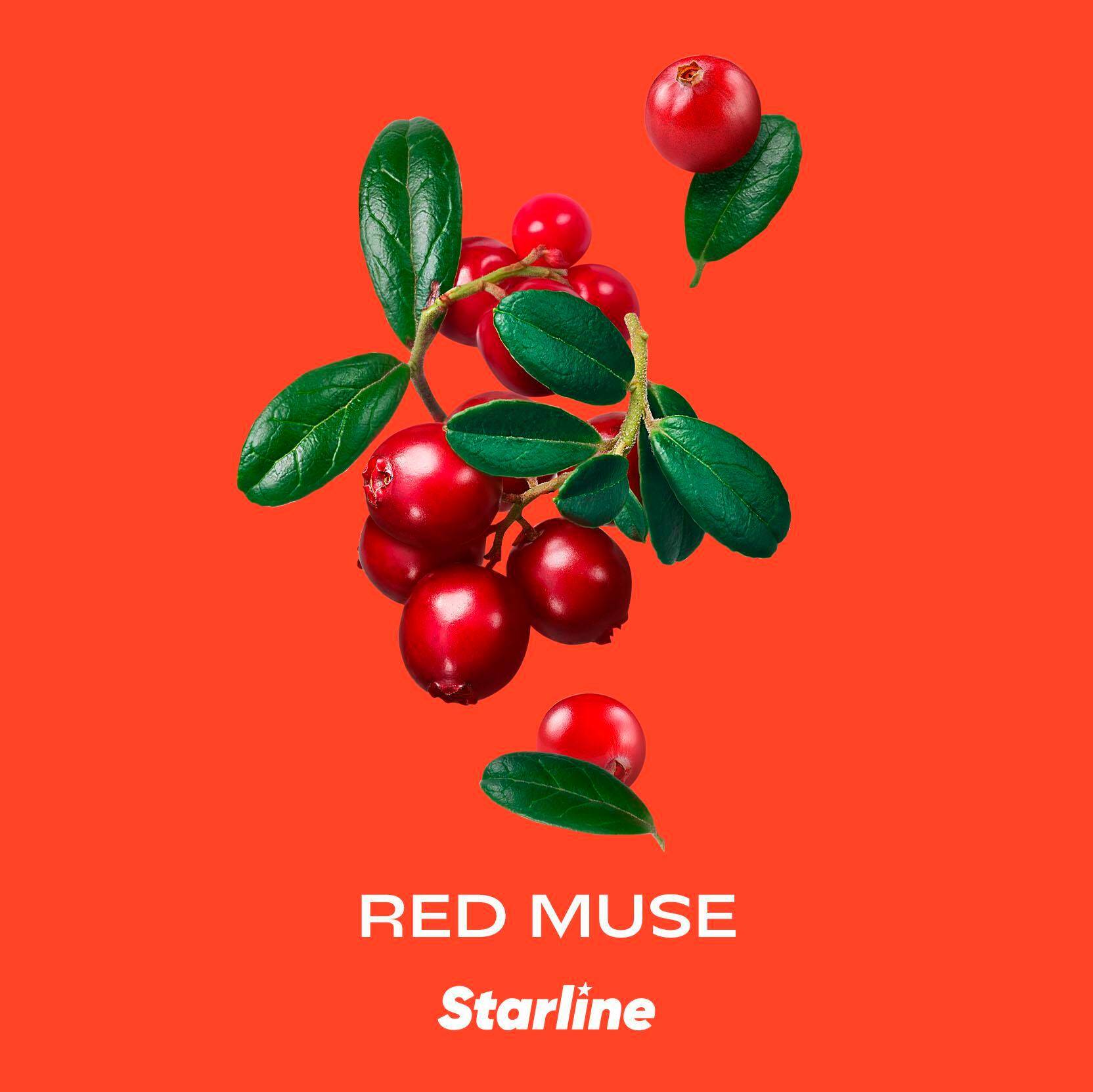 Tytoń STARLINE Red Muse 200g (190 PLN)