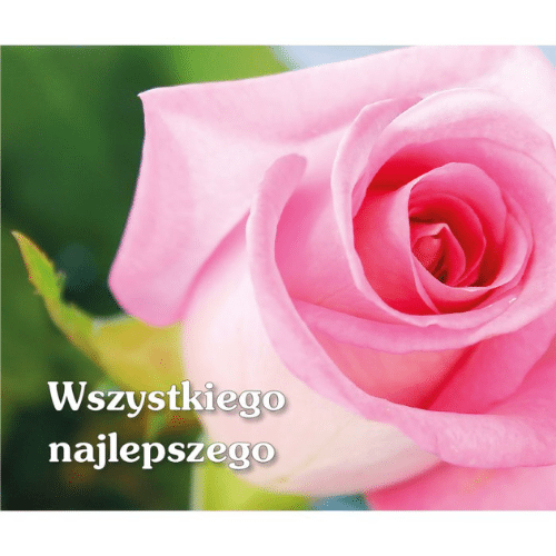 Perełka 123 - Wszystkiego najlepszego