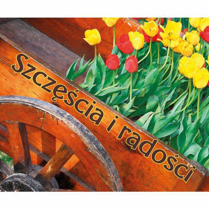 Perełka 185 - Szczęścia i radości