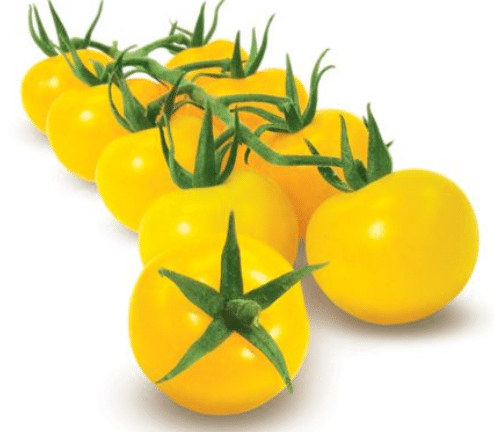 O+W Pomidory Coctailowe żółte ~9kg