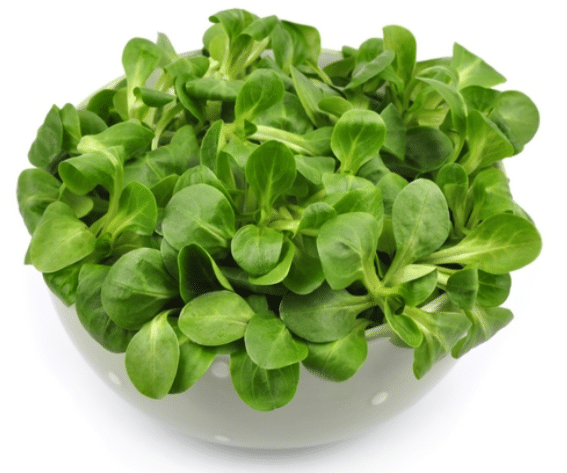 O+W Sałata Roszponka 100g
