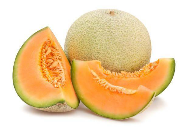 O+W Melon Cantalupa ~ 15kg