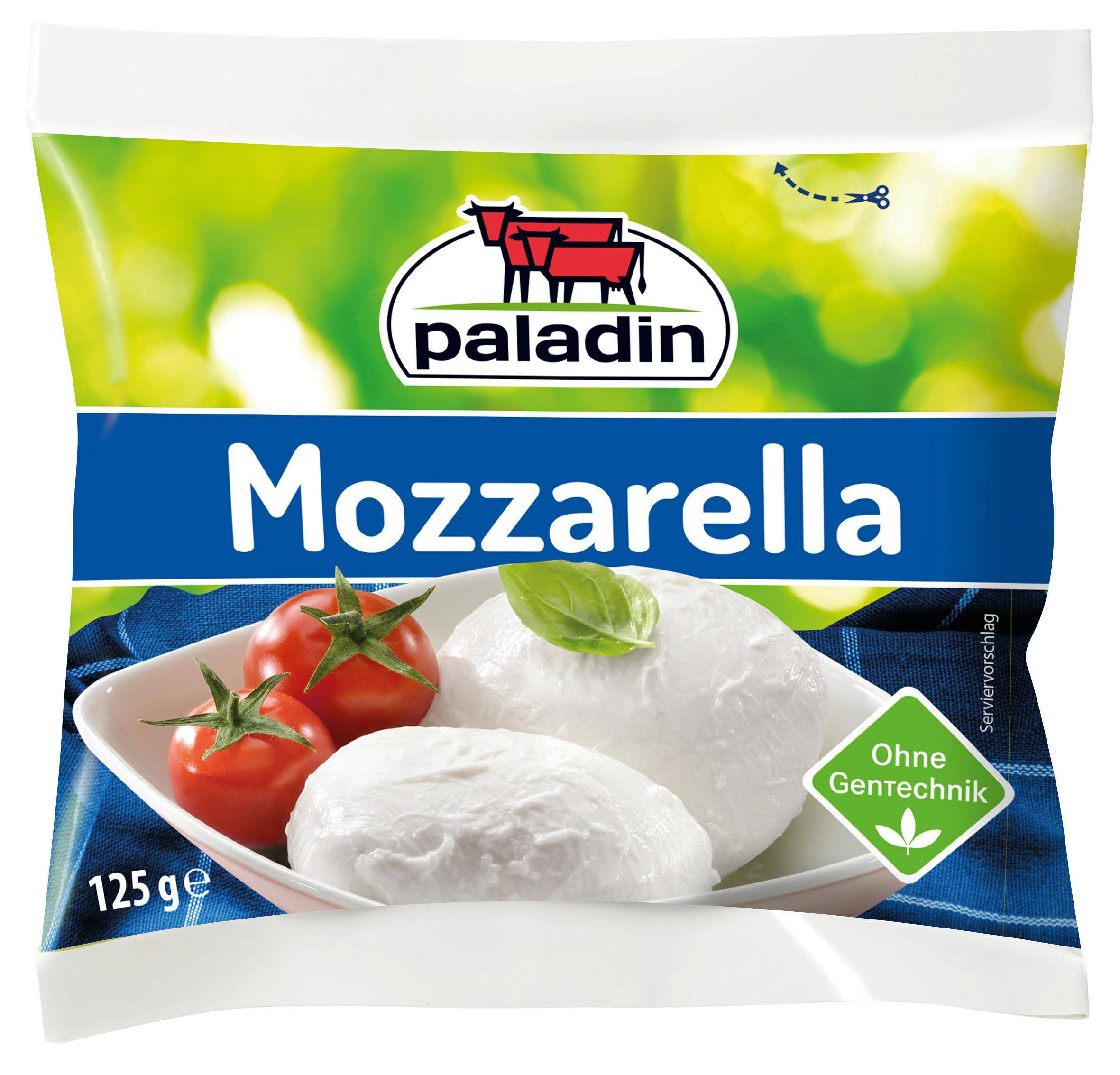 Mozzarella kulka Paladin 125 g (Photo 1)