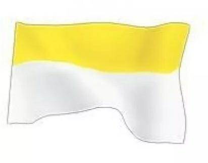 FLAGA PAPIESKA