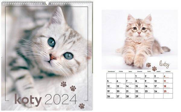Kalendarz ścienny plansz.33,5x40cm Koty