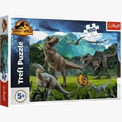 PUZZLE 100 16441 TREFL