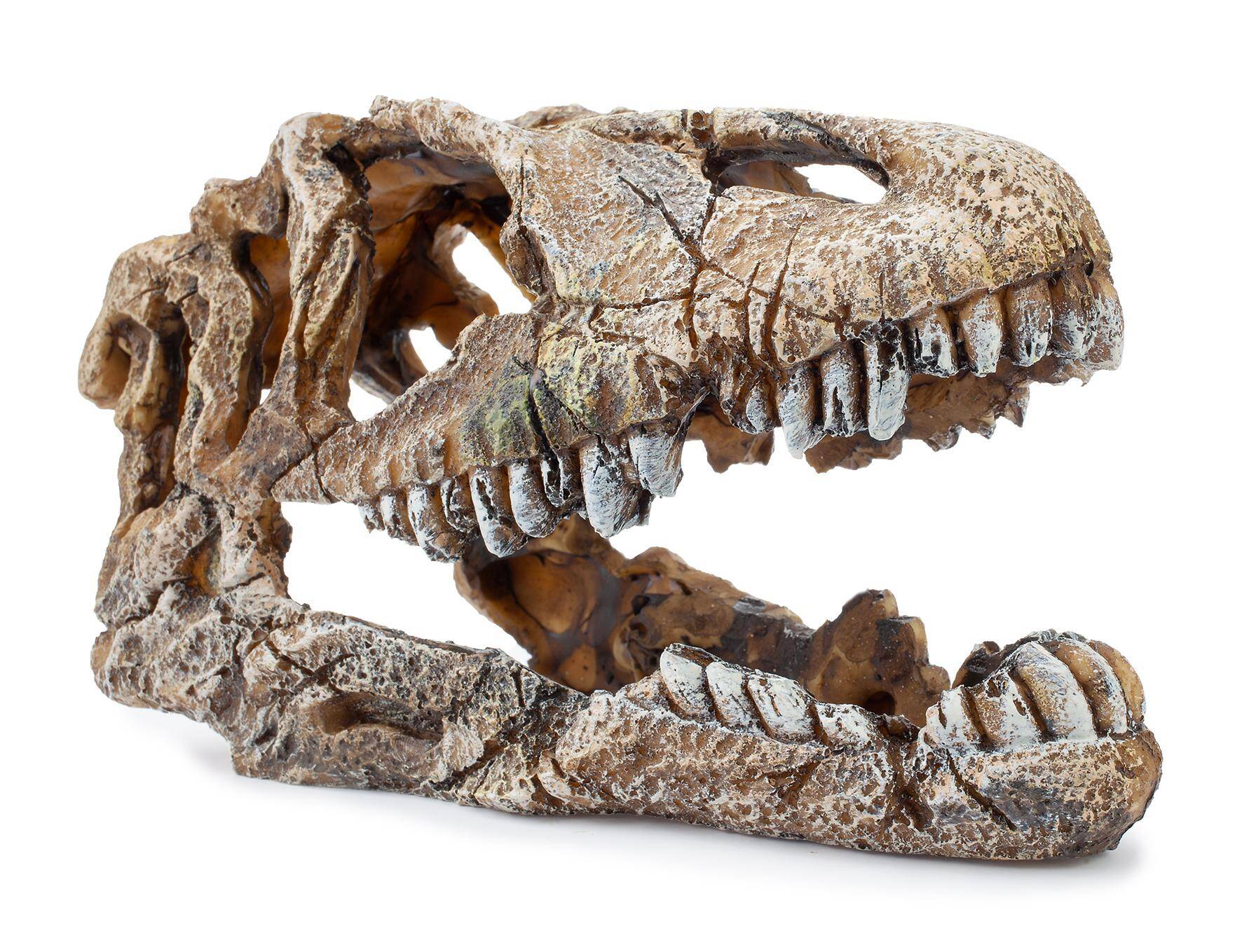 Aquariendekorationen - Schädel des Dinosauriers Happet U714 23 cm (S-U714KW)