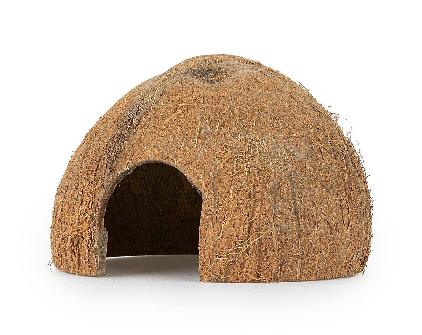 Coconut shell halves unbrushed 6 pieces