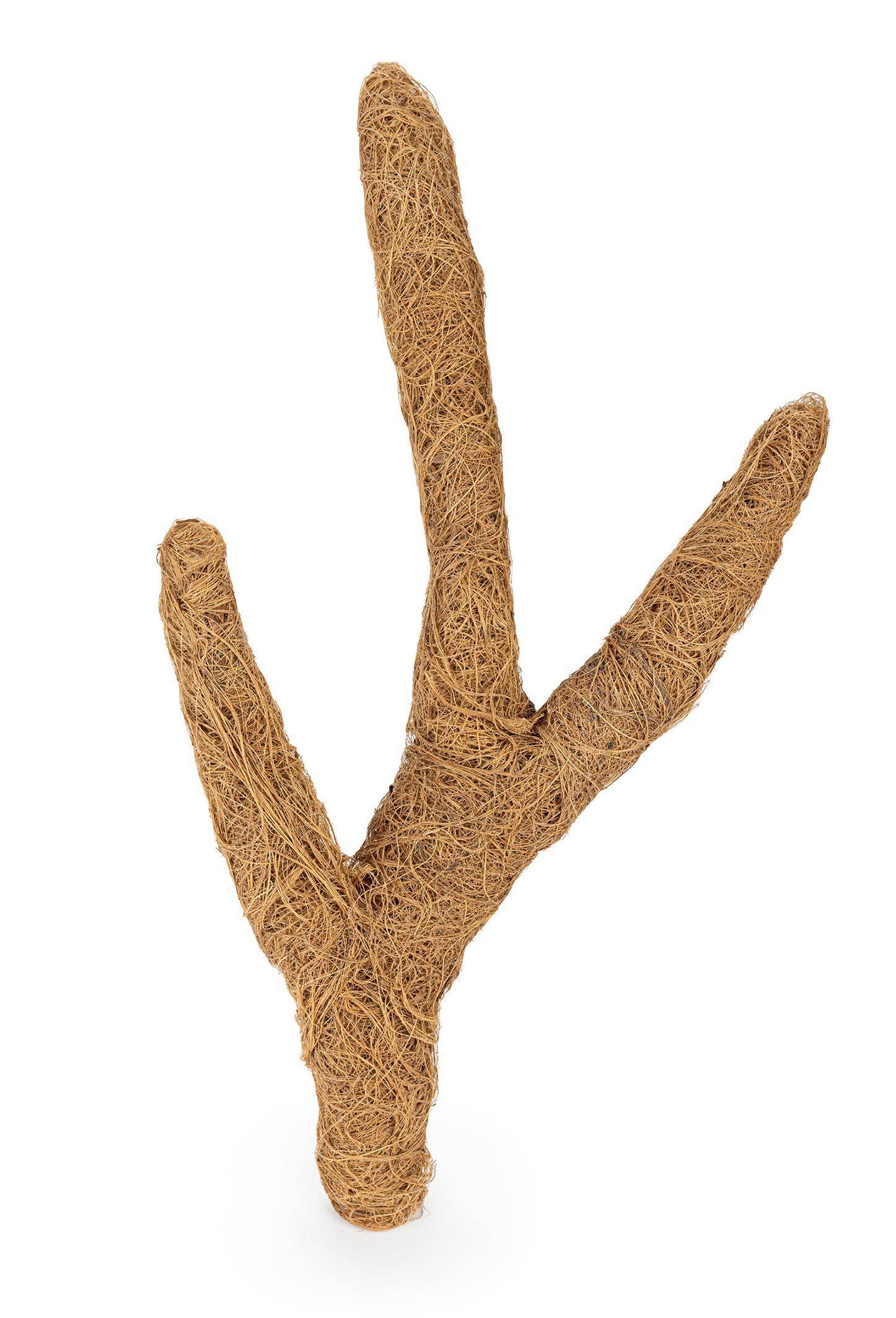 Coconut Branch Troncho 40cm - S