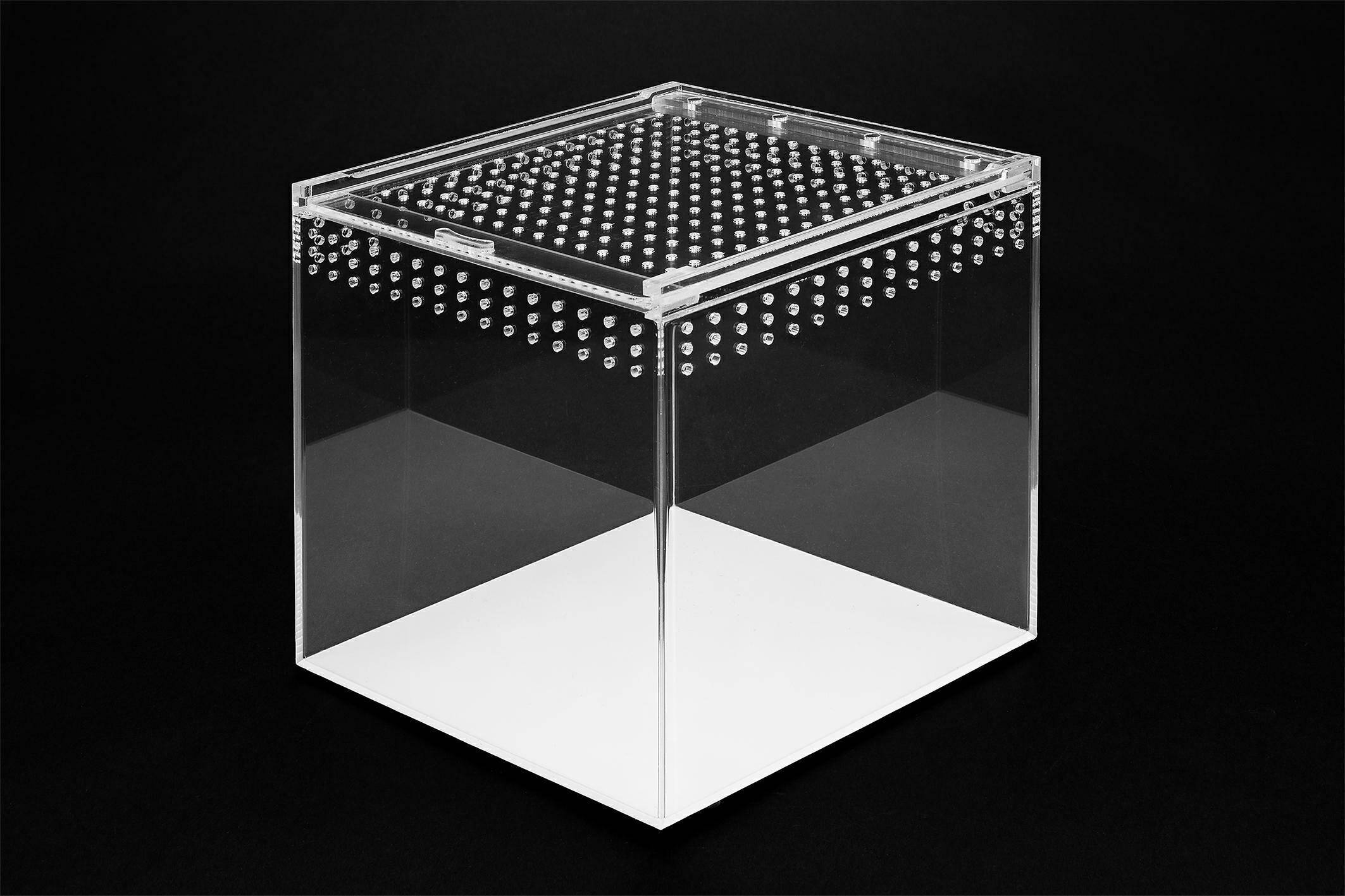 Acrylic Terrarium 20x20x20cm