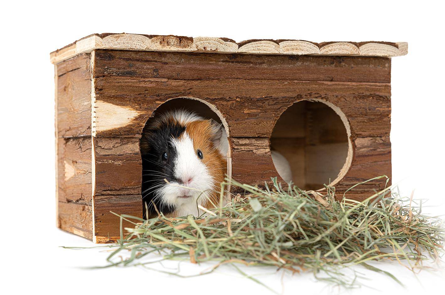 Meerschweinchenhaus 28 cm aus Holz (Z-K742YI)