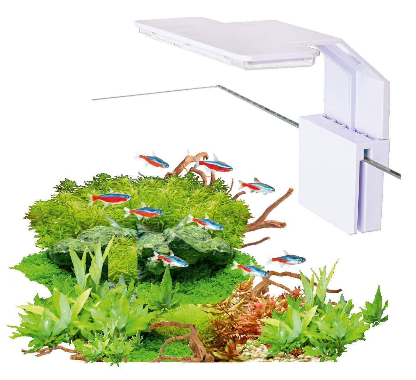AquaLED lamp Mini White 6W