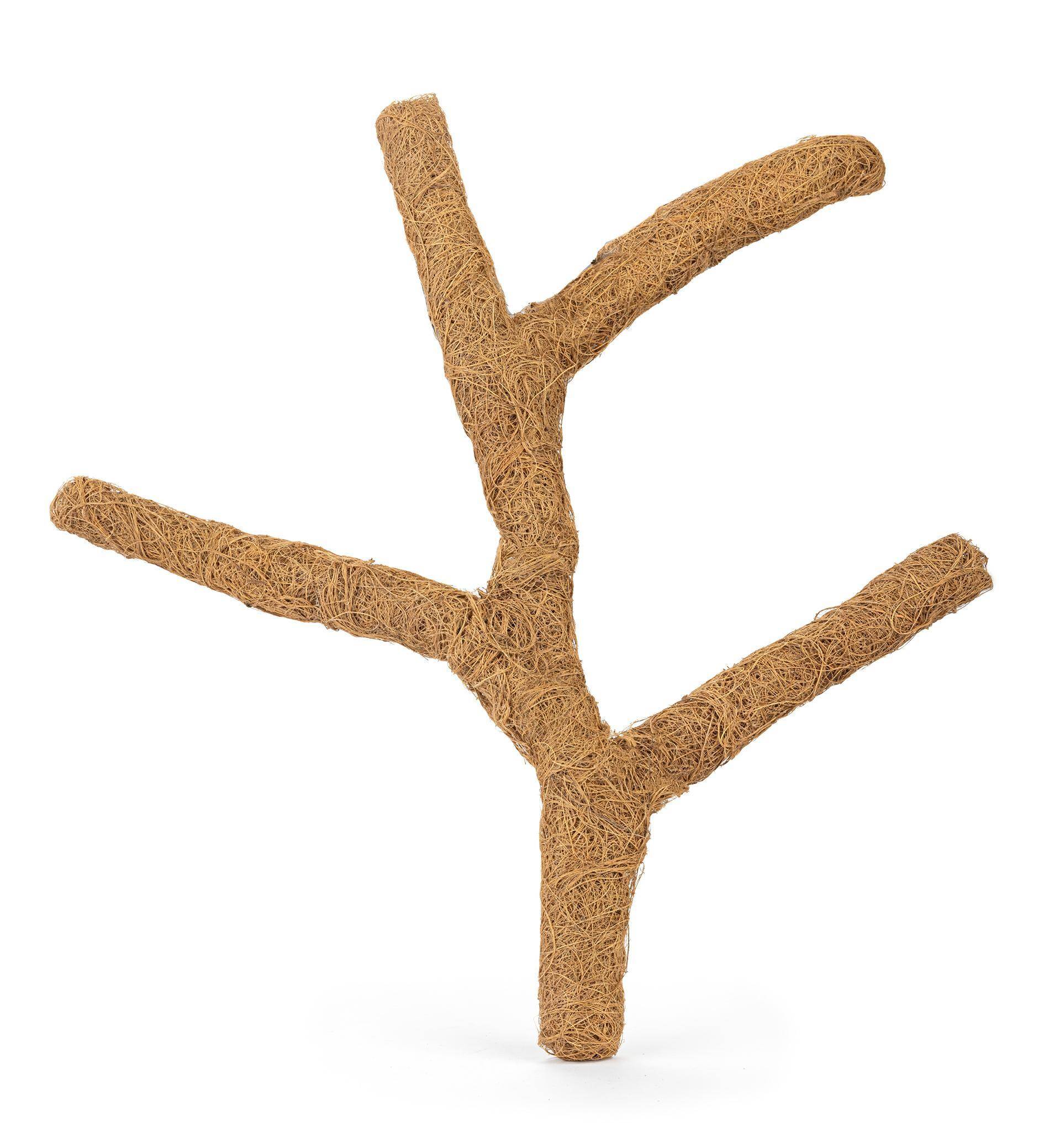 Coconut Branch Troncho 60cm - M
