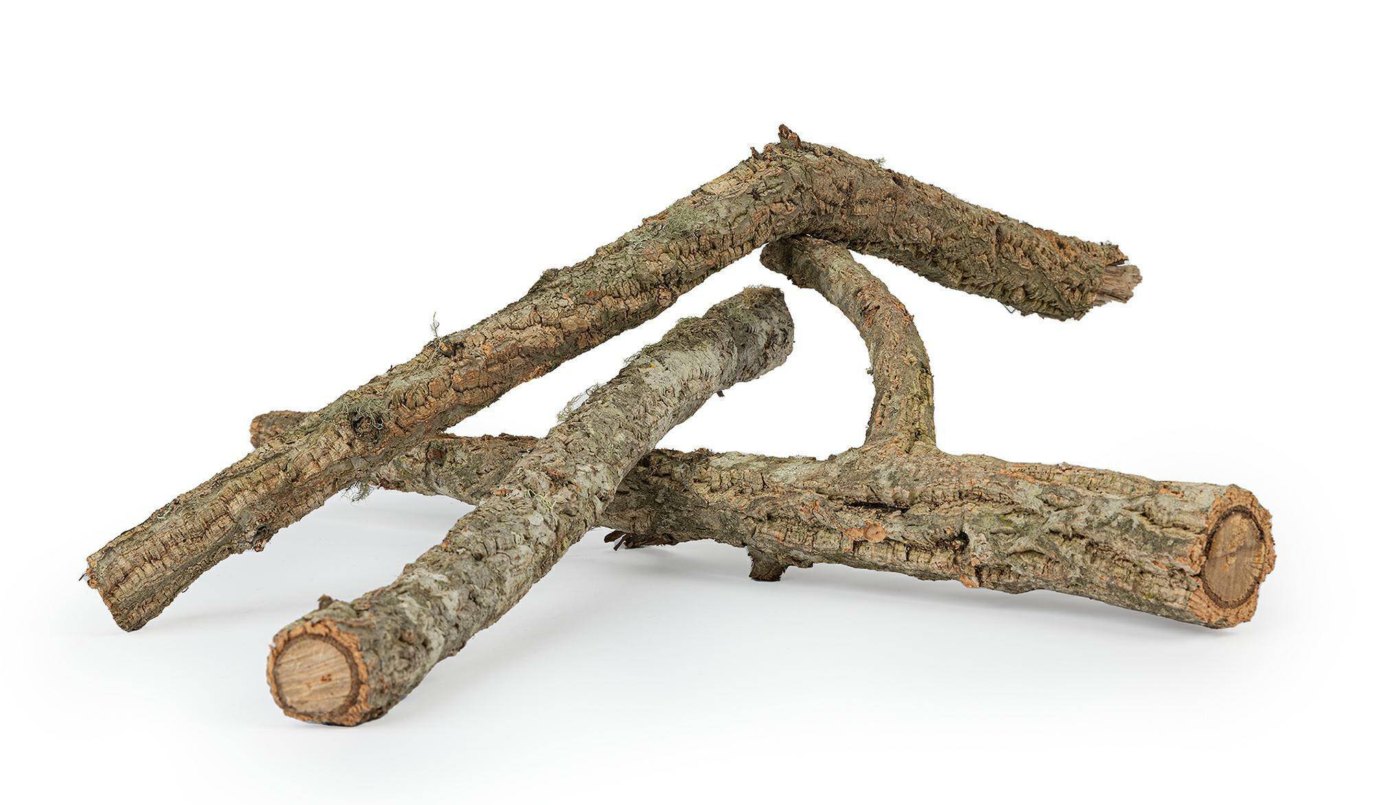 CORK BRANCH 60 cm (S-CO75HI)