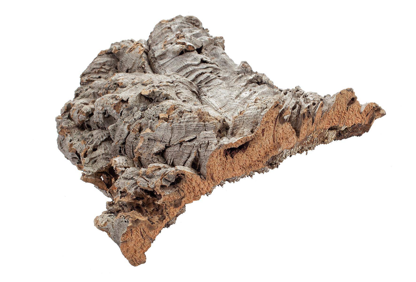 Cork S petal, 300 to 500 G (S-CO52HI)