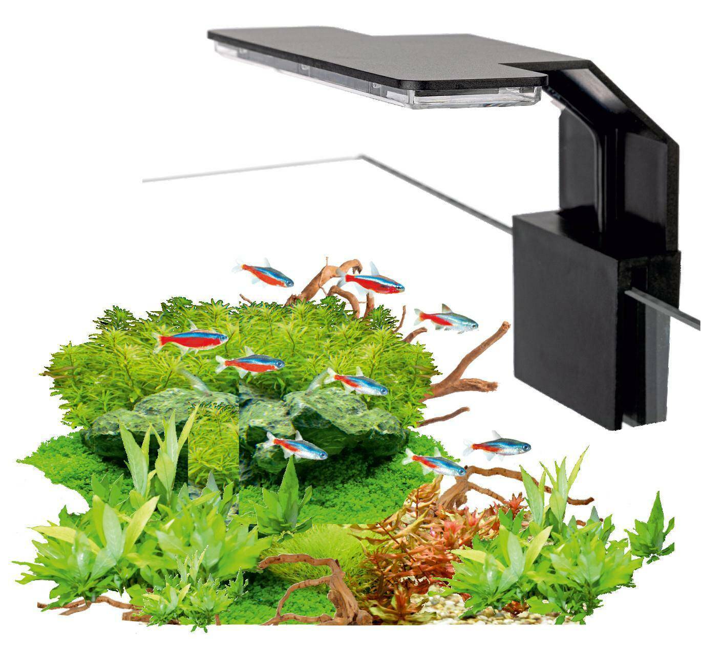 AquaLED lamp Mini Black 6W