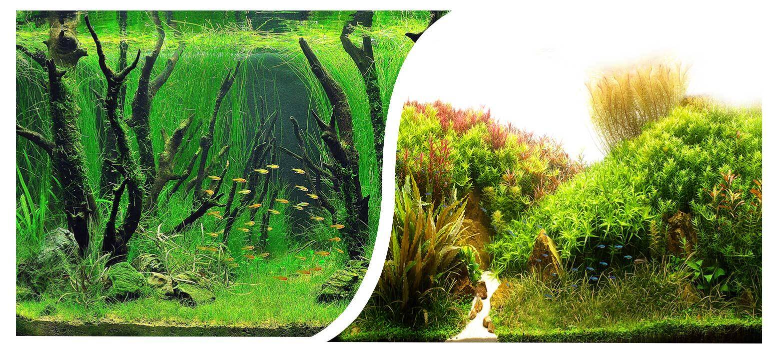 Aquarium background roll 50 cm