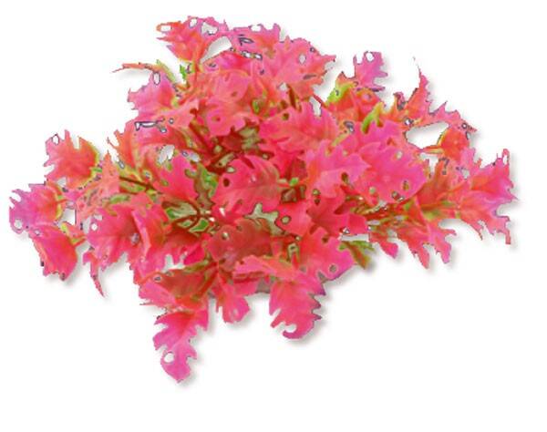 1f23 Artificial plant blister 10cm HAPPET