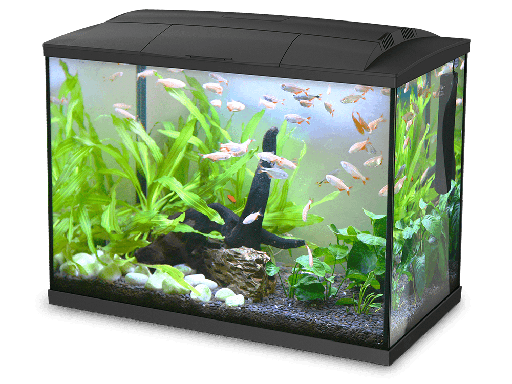 K60 Hailea Aquarium, 60 l black