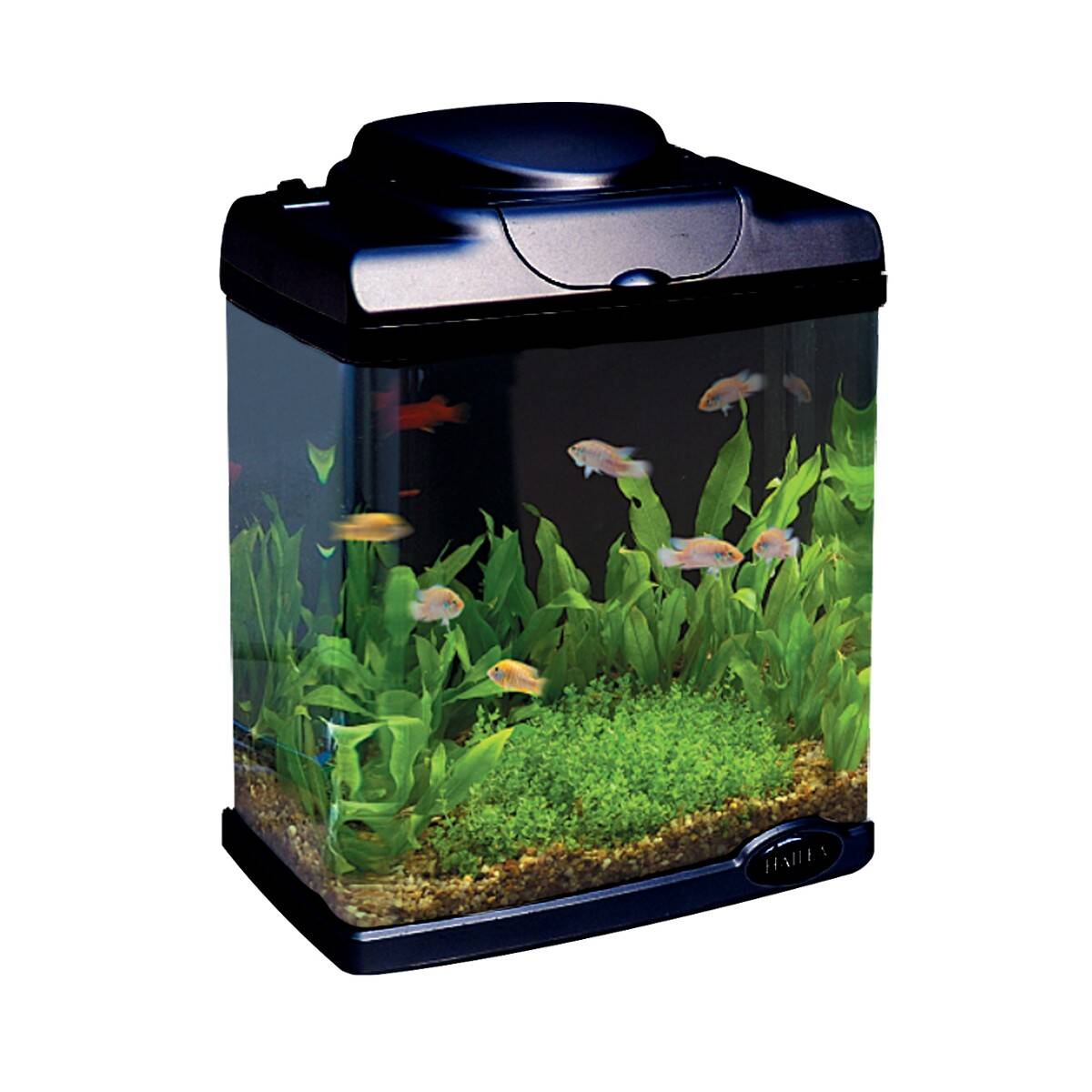 Aquarium FC200