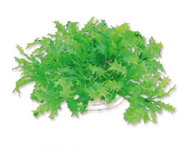 1f22 Artificial plant blister 10cm HAPPET