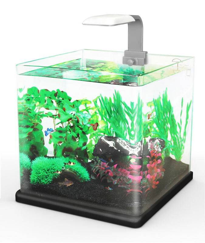 Aquarium Q