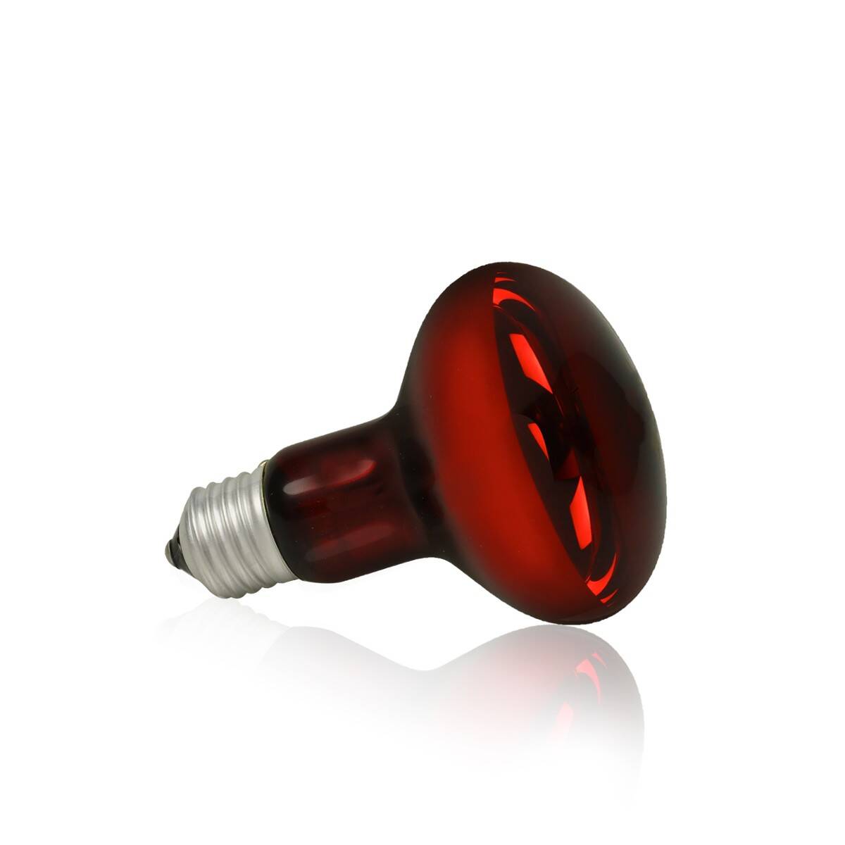 Terrarium Nachtlicht Glühbirne 50W (Z-BR02JW)