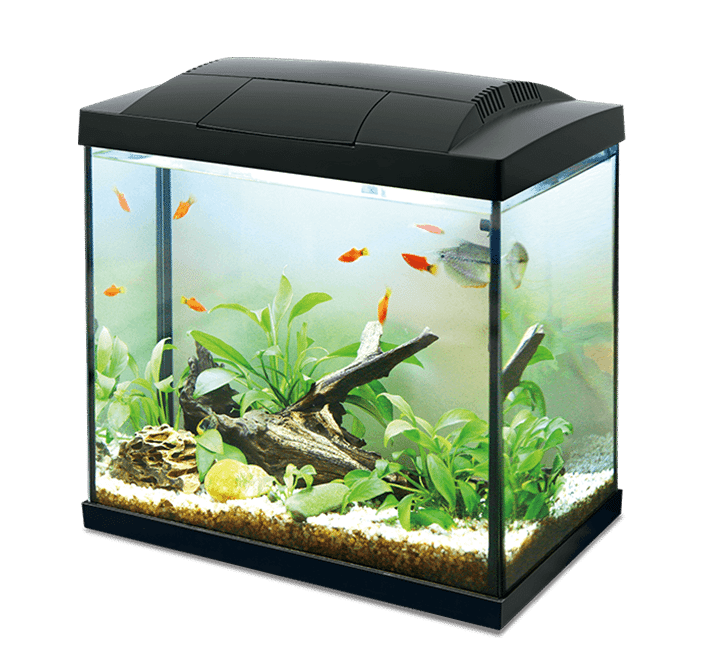 K30 Hailea Aquarium, 30 l black
