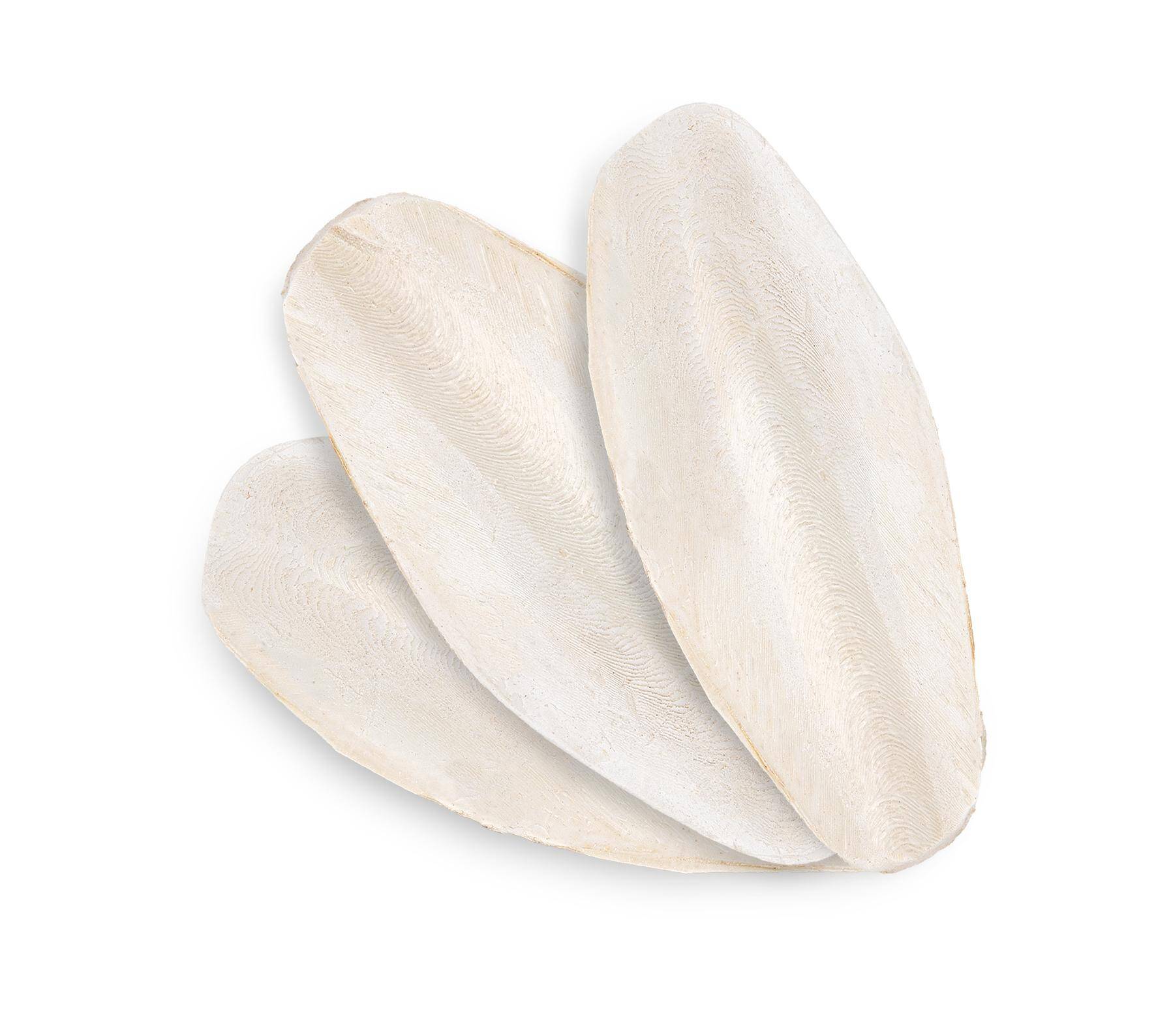 Cuttle bone - box 25 pcs