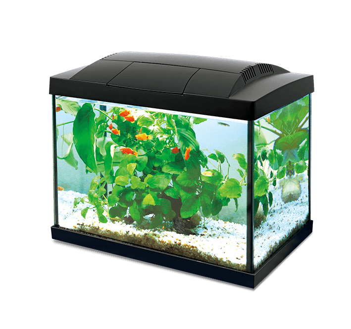 K20 Hailea Aquarium, 20 l black