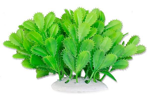 1f10 Artificial plant blister 10cm HAPPET
