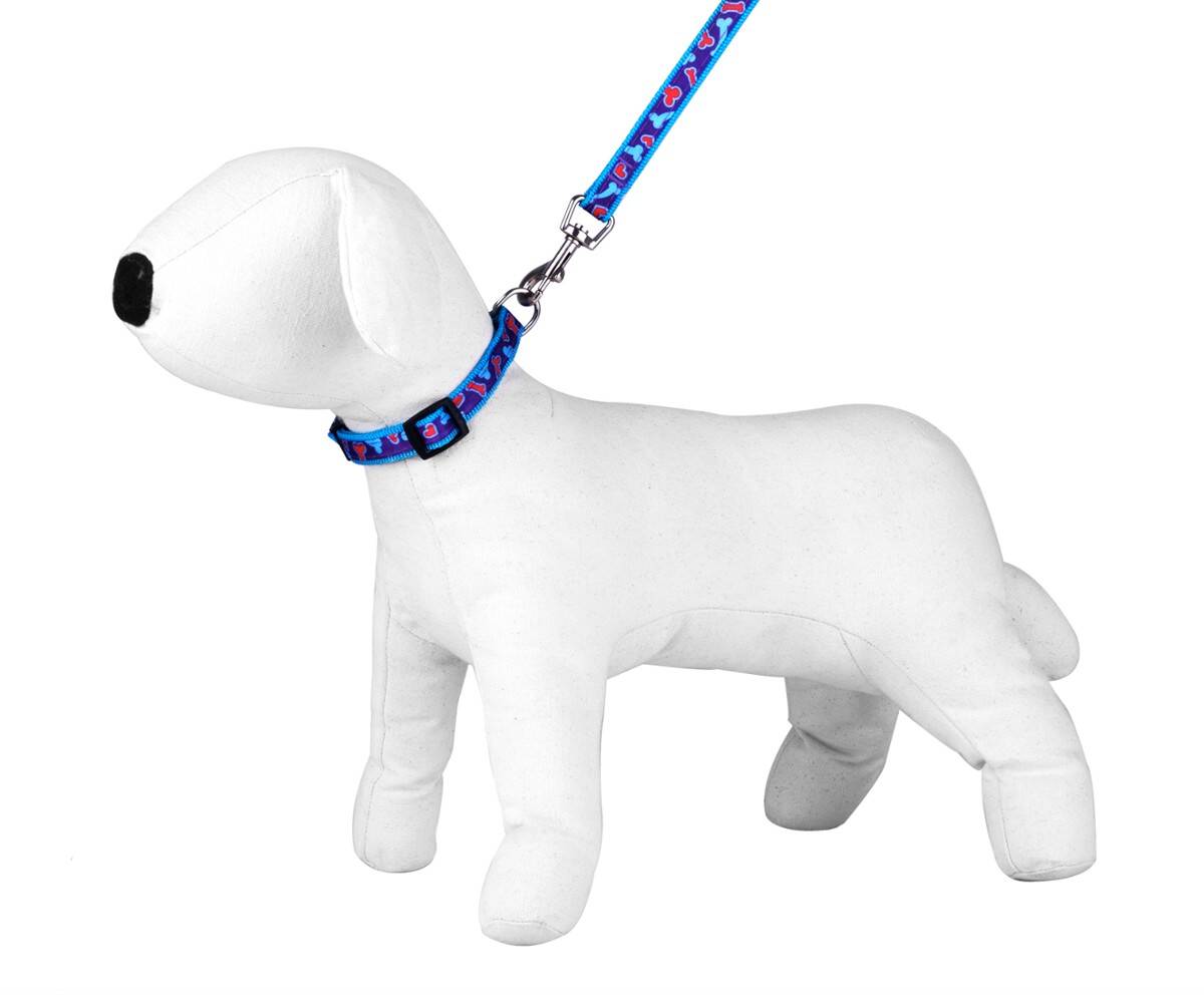 Leash & Collar / Set - Happet S144