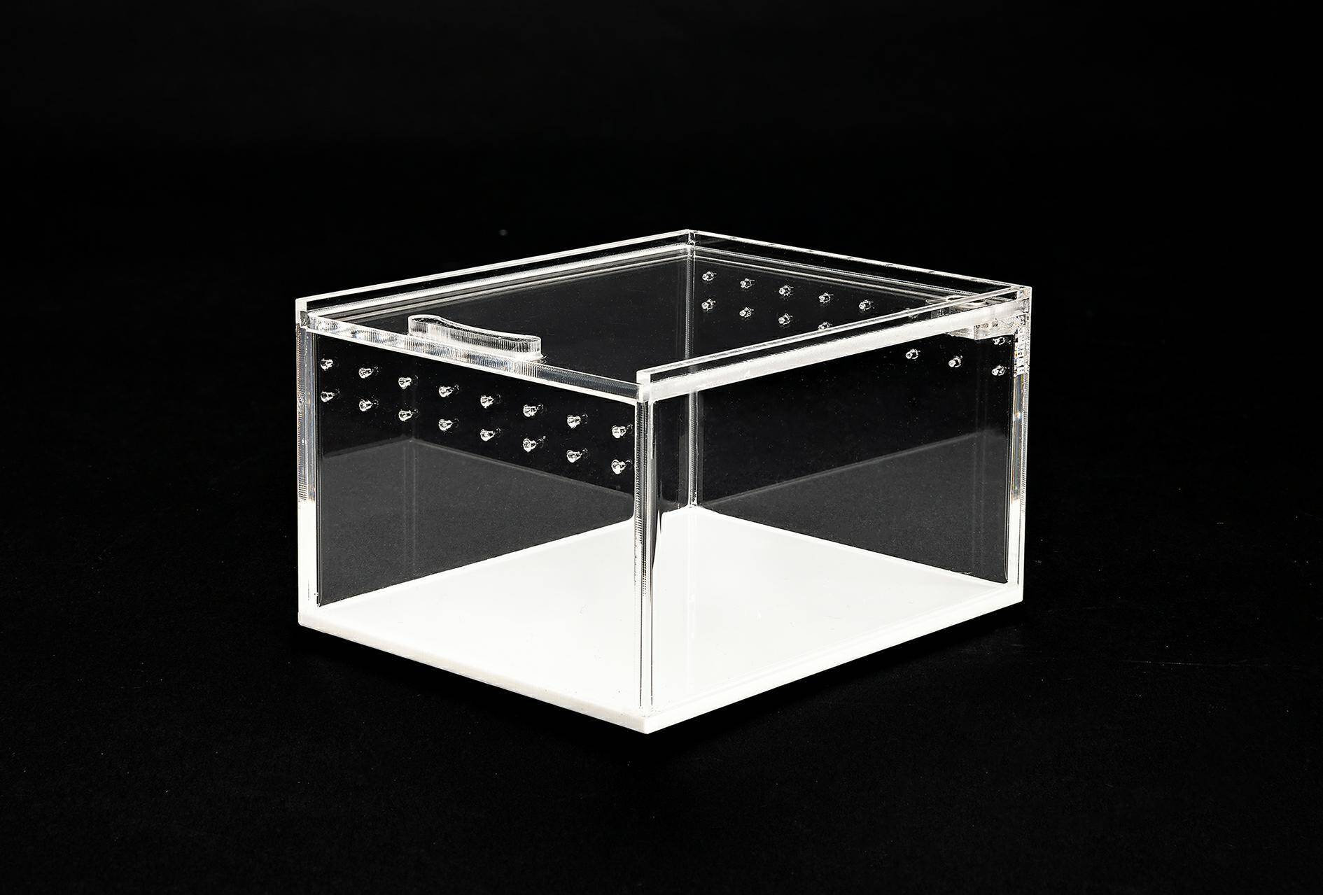 Acrylic Terrarium