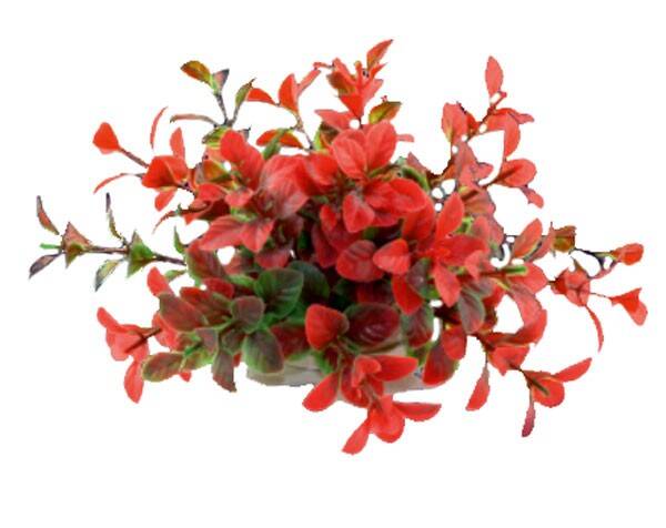 1f17 Artificial plant blister 10cm HAPPET