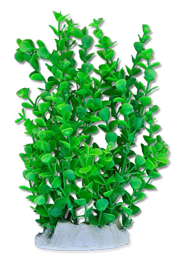 Aquarienpflanze, künstlich Folie 20cm 2f13 Happet (SR2F13GU)
