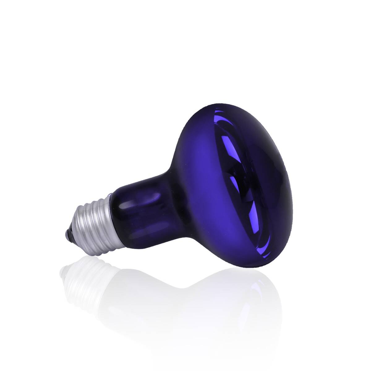 Night Heat Blue Bulb 100W (Z-BPO2JW)