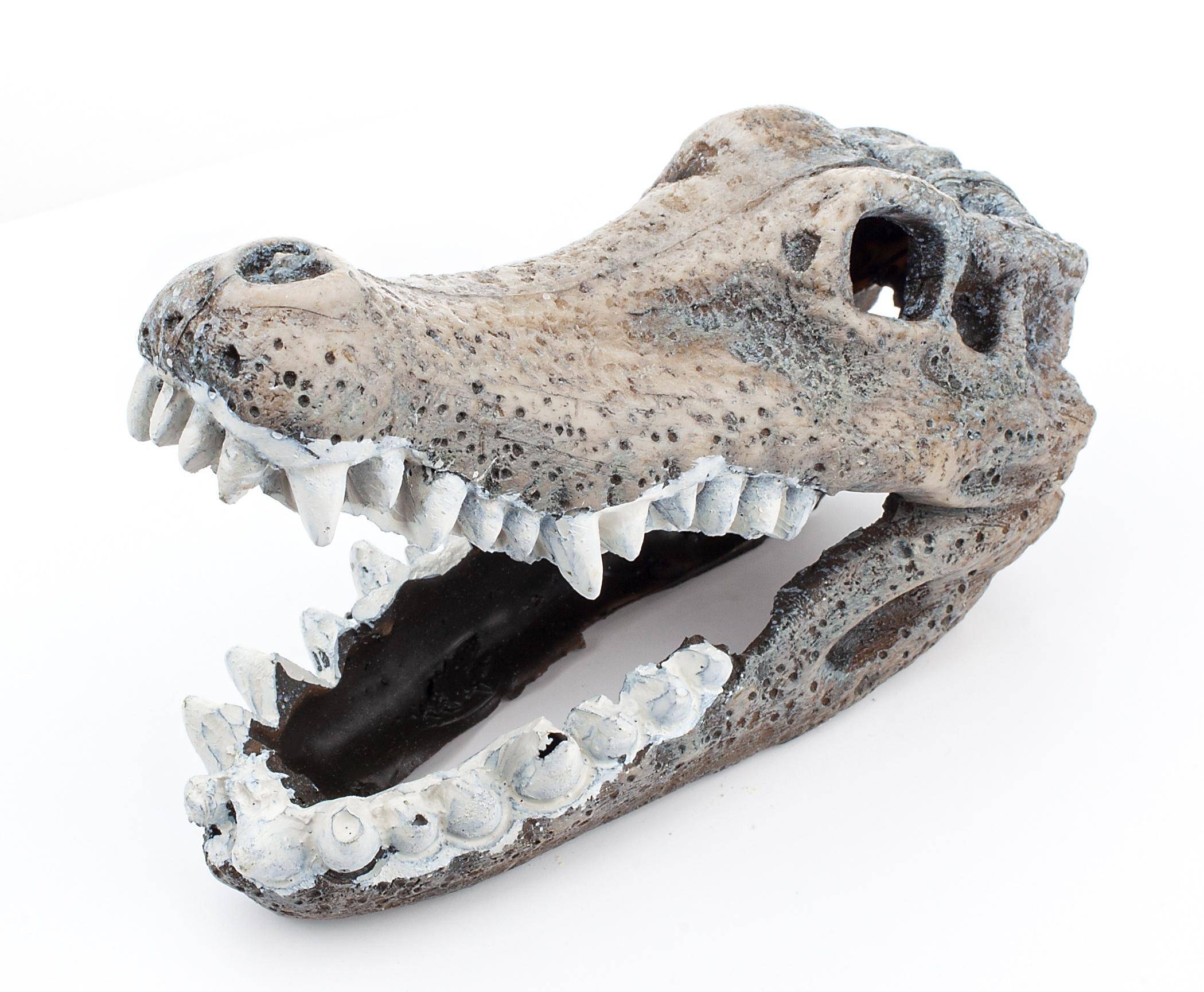 Aquarienschmuck - Schädel des Krokodils Happet U778 11cm (S-U778KW)