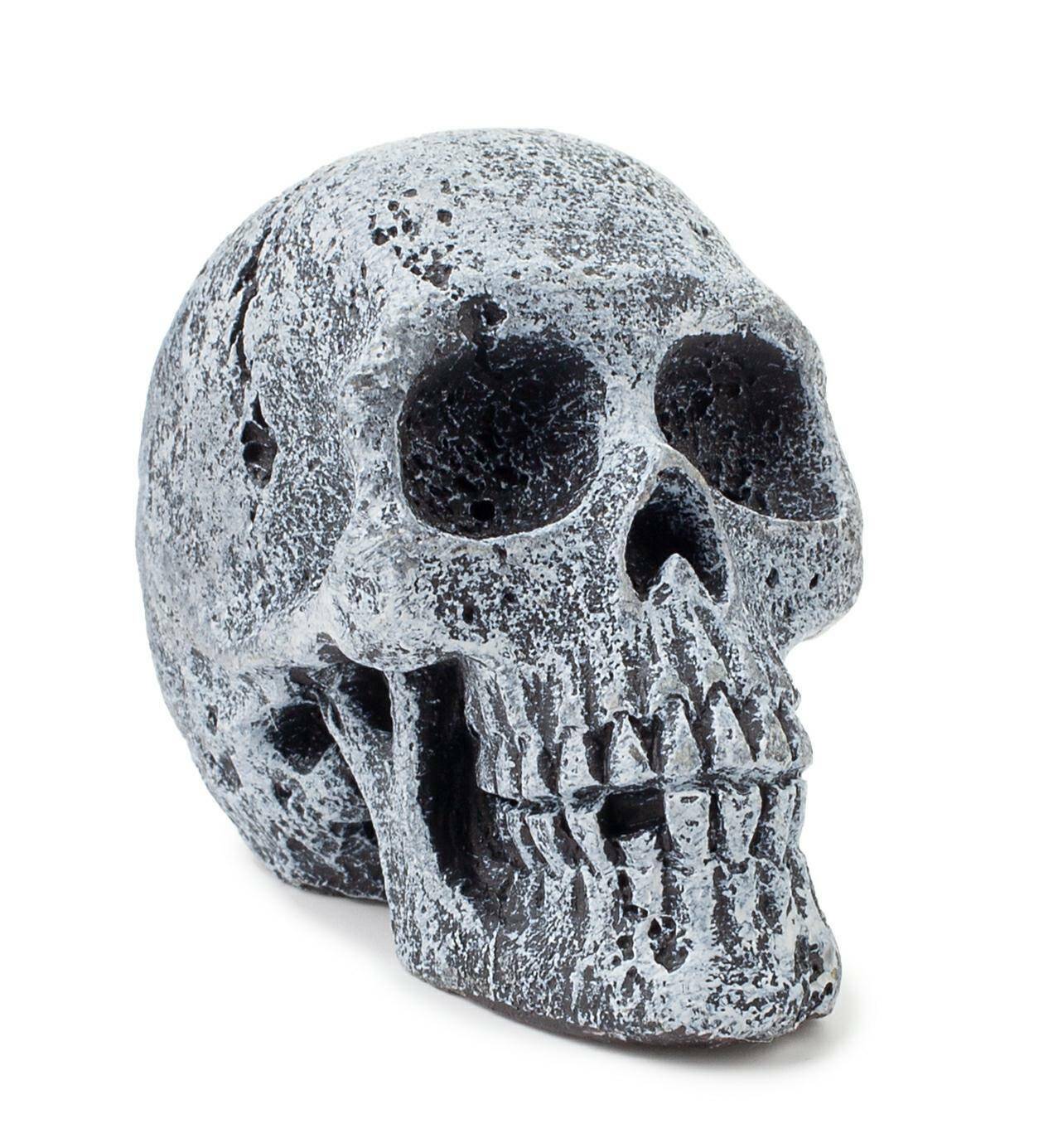 Aquarium skull decoration Happet R108 5,5 cm
