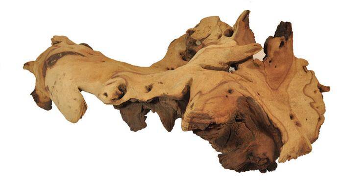 Mopani root L size 50-60cm, Happet D120