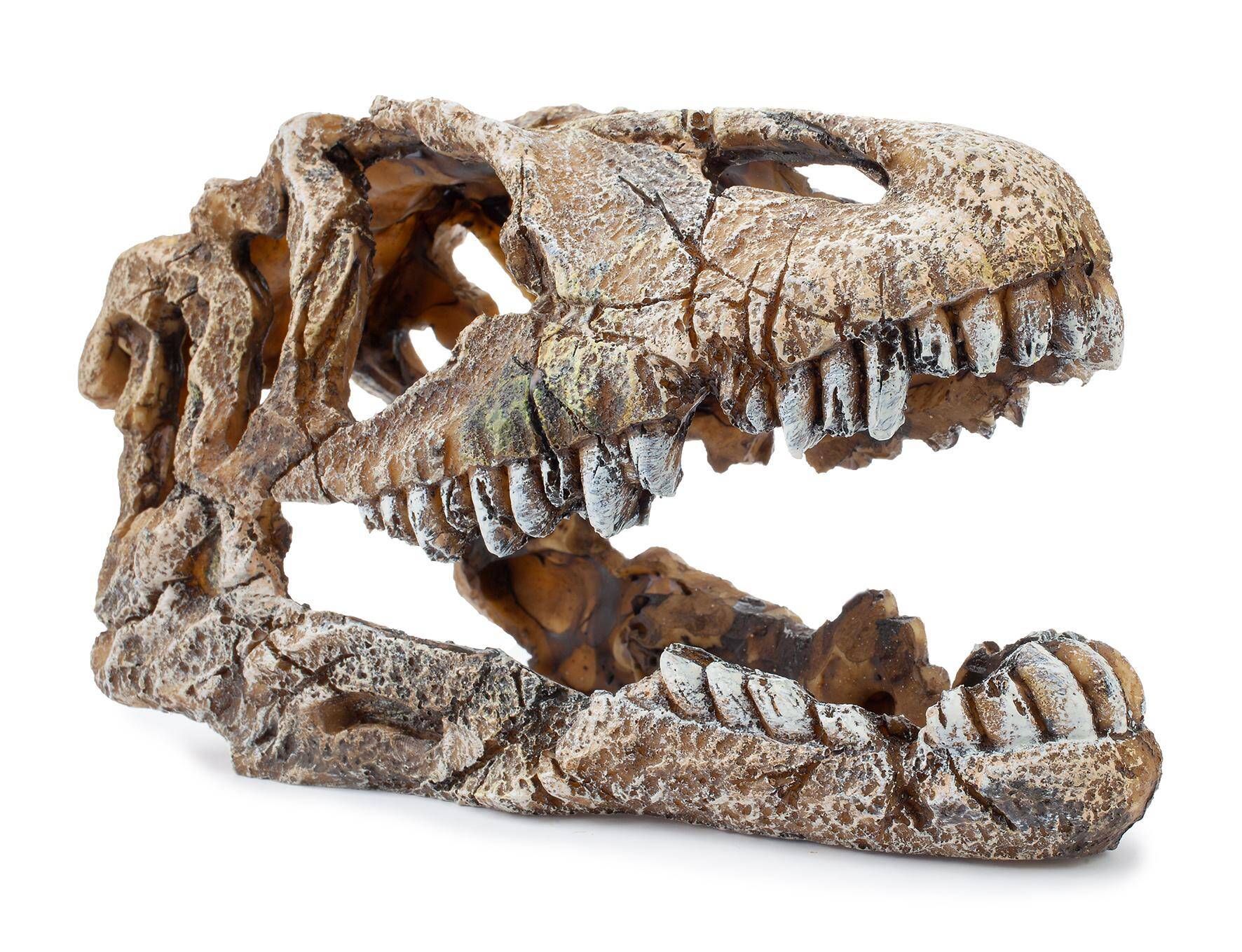 Ozdoba akwariowa Happet U714 czaszka dinozaura 17cm (Zdjęcie 1)