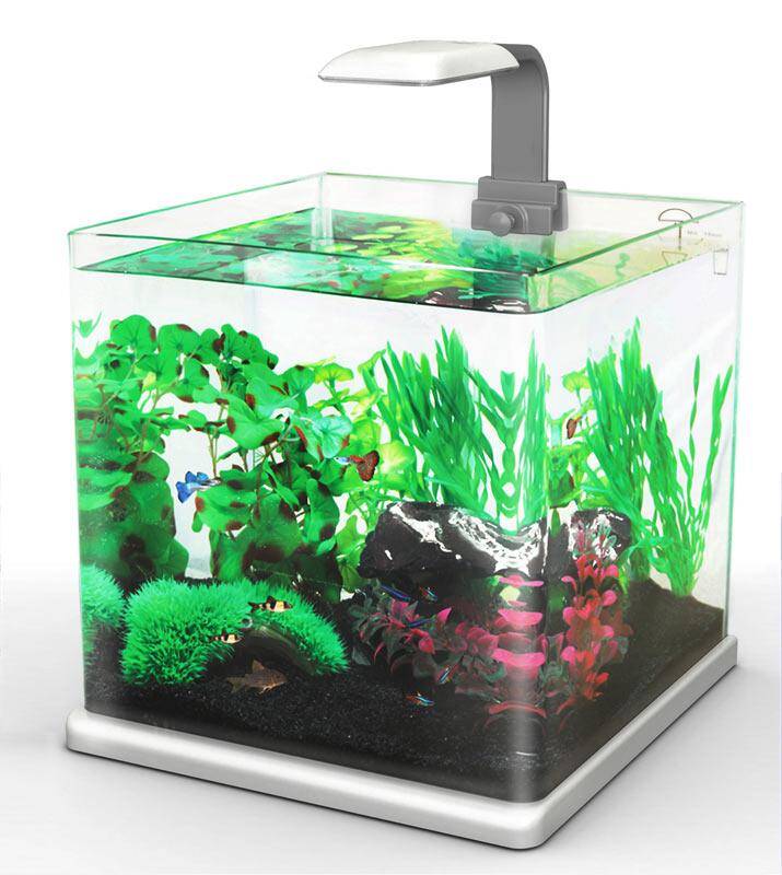 Aquarium Q