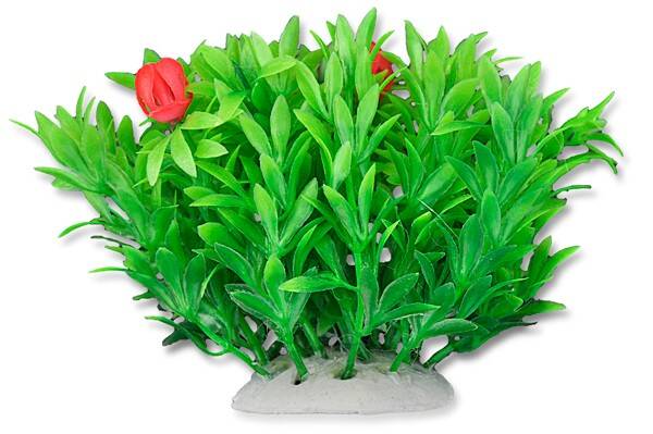 Aquarienpflanze, künstlich Folie  10cm 1f02 Happet (SR1F02GU)