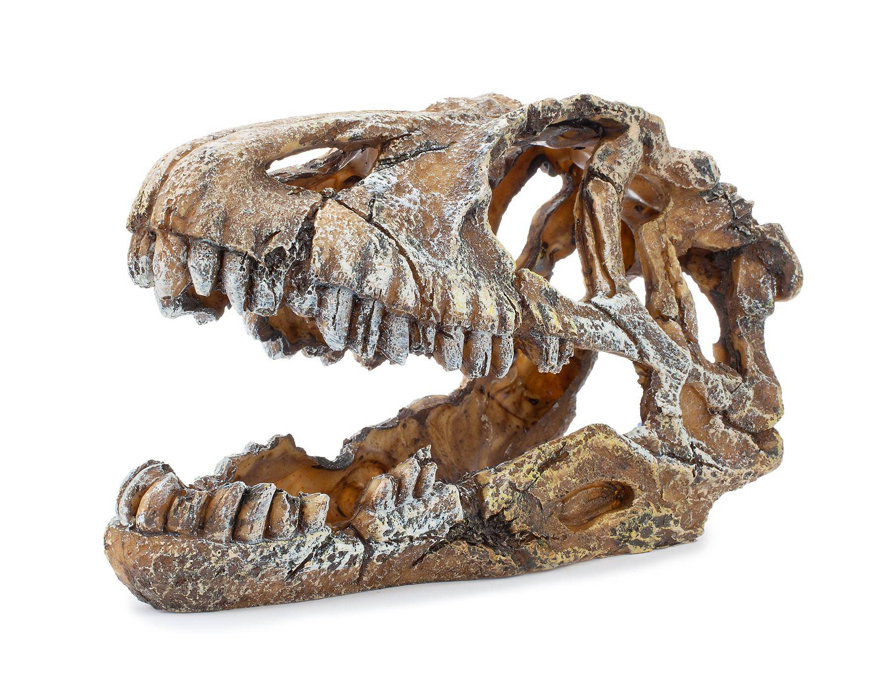 Ozdoba akwariowa Happet U714 czaszka dinozaura 17cm (Zdjęcie 2)